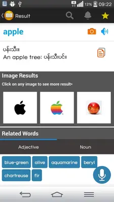 Shwebook Dictionary Pro android App screenshot 7